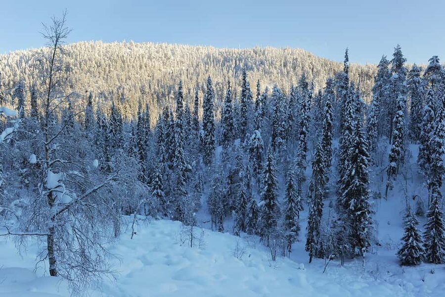 Rovaniemi: Korouoma Wilderness Café’s Icefall Tour and Lunch - Transportation From Rovaniemi: How the Drive Shapes Your Day