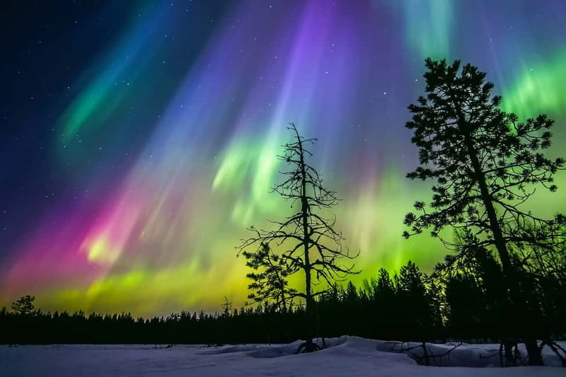 Rovaniemi: Lakeside Private Sauna with Aurora Borealis - The first part of your 3 hours: meet the guide, then head to the sauna area