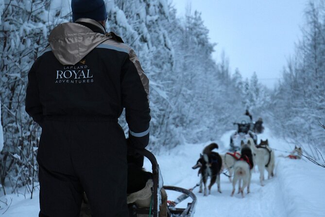 Rovaniemi Lapland Husky Experience 5km - Key things to know before you go