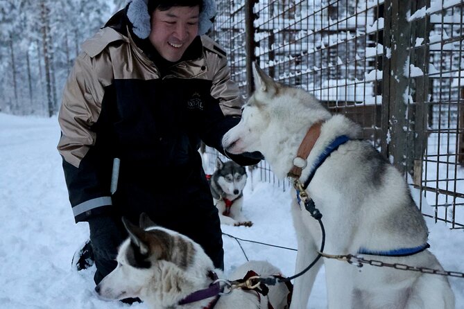 Rovaniemi Lapland Husky Experience 5km - Time matters: plan for the full 3 hours, not just the ride