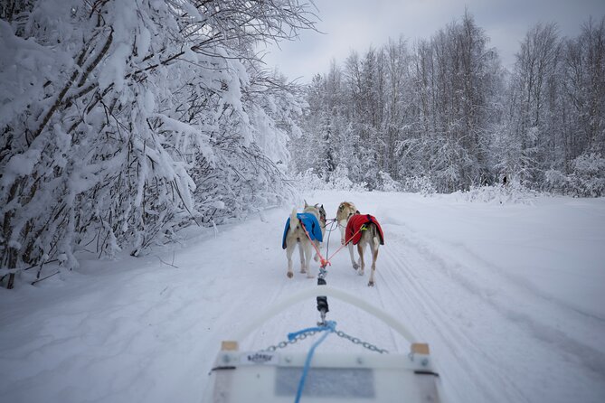 Rovaniemi Lapland Husky Experience 5km - What to wear: keep the cold outside your body
