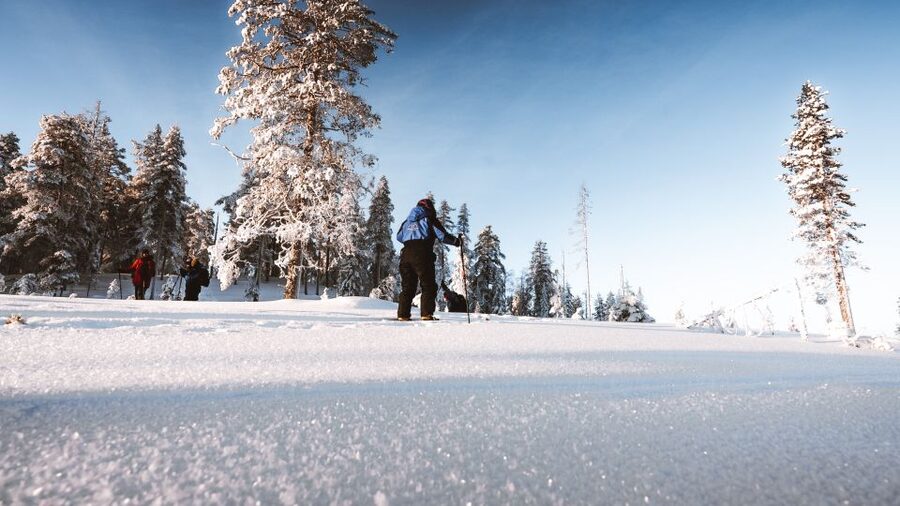 Rovaniemi: Lapland Ski Trekking Safari - Key things I’d prioritize before you book