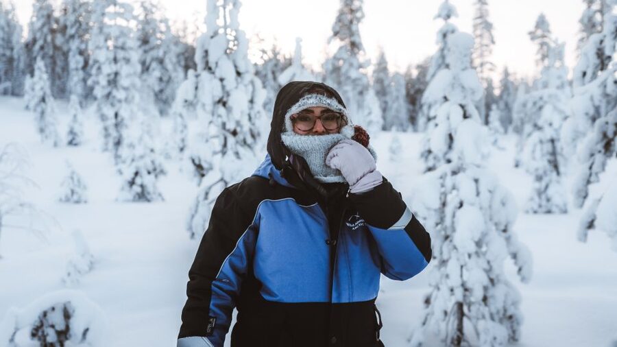 Rovaniemi: Lapland Ski Trekking Safari - Price, $128 value, and when to compare it