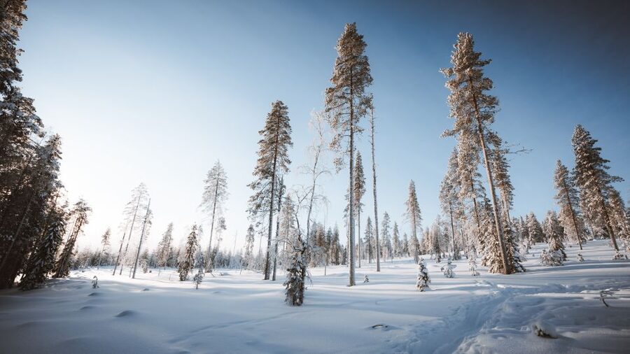 Rovaniemi: Lapland Ski Trekking Safari - The campfire break: yurt or teepee warmth and Finnish-style comfort