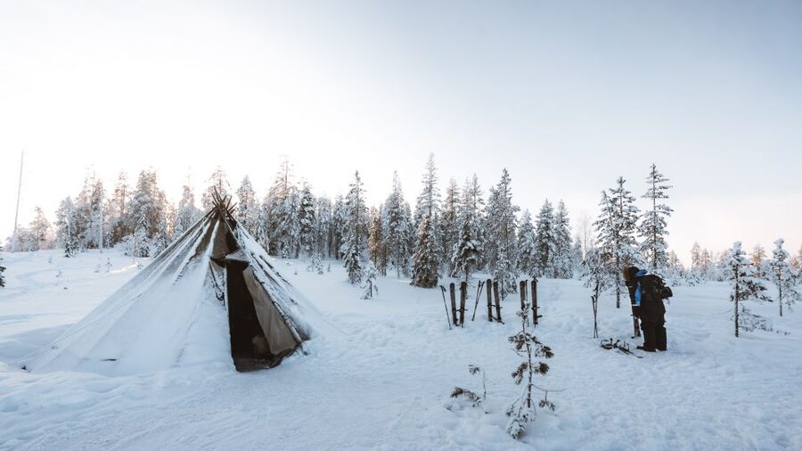 Rovaniemi: Lapland Ski Trekking Safari - Who this safari suits best (and who should skip it)