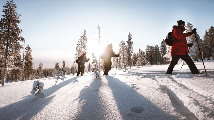 Rovaniemi: Lapland Ski Trekking Safari - The 4-hour rhythm: lessons first, then the real trek, then warmth
