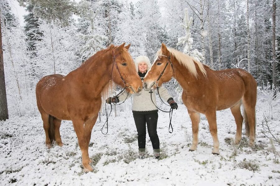 Rovaniemi: Late Night Ride with Finnhorses - A 1.5-Hour Plan That Actually Feels Like Lapland