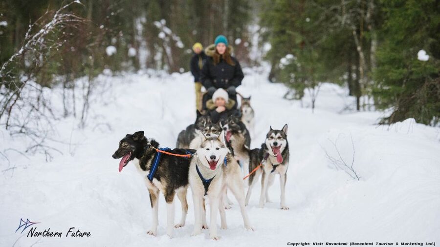 Rovaniemi: Meet Santa Claus, Reindeer Sleigh Ride & Huskies - Pickup, van ride, and the rhythm of a 5-hour Santa day