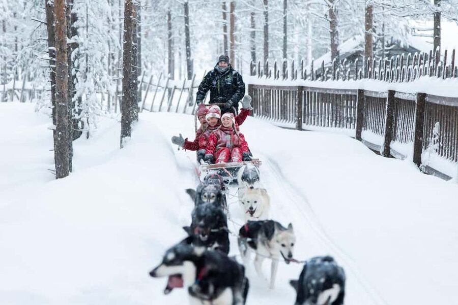 Rovaniemi: Meet Santa's Most Trusted Husky Dogs - Key highlights worth planning for