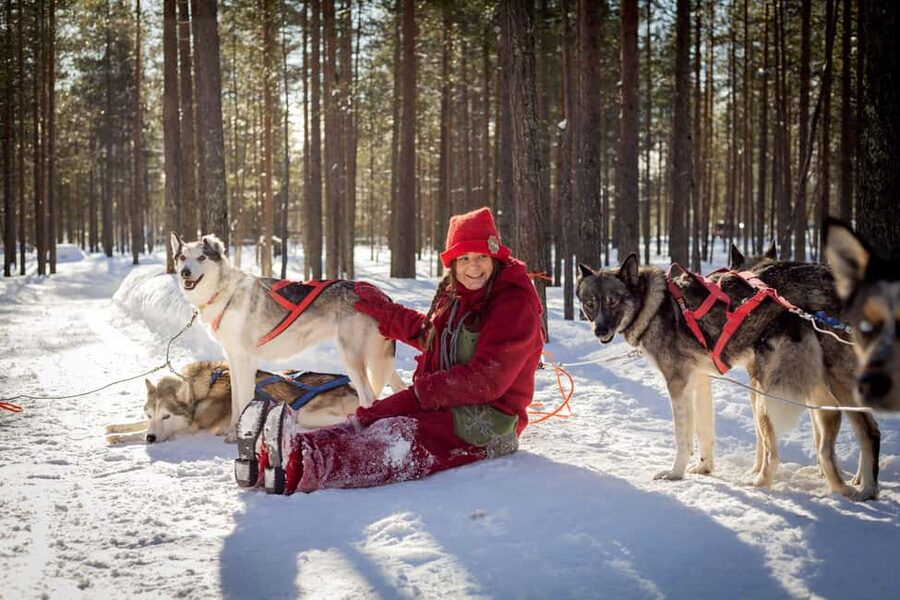 Rovaniemi: Meet Santa's Most Trusted Husky Dogs - Meeting at Santa Claus Safaris Elf Adventure center, then a quick minibus transfer