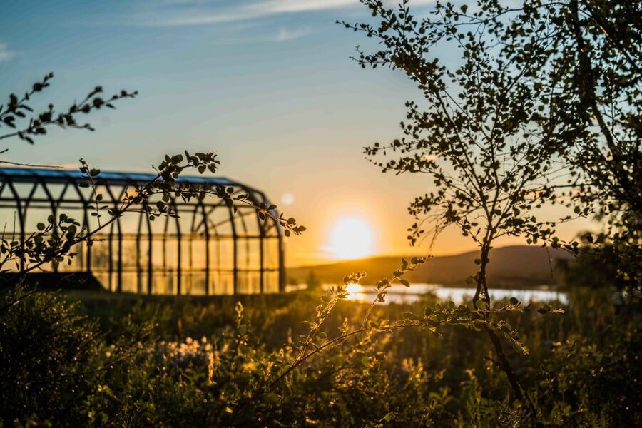 Rovaniemi: Midnight Sun Photography Tour - Should You Book This Midnight Sun Photography Tour