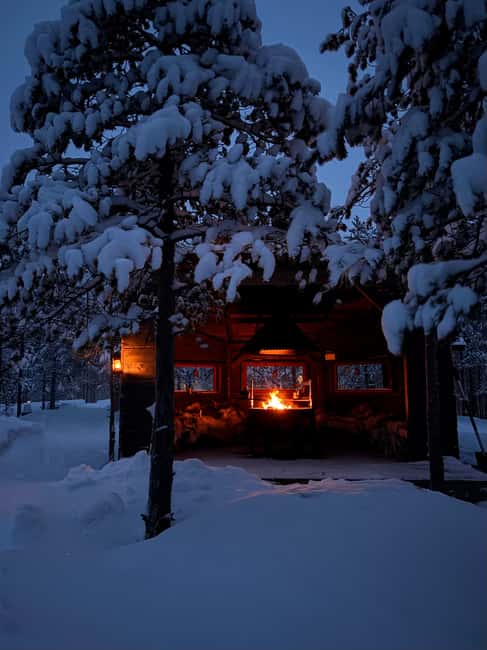 Rovaniemi: Mystical Lapland Forest Entry Ticket - Key things that make it worth your time