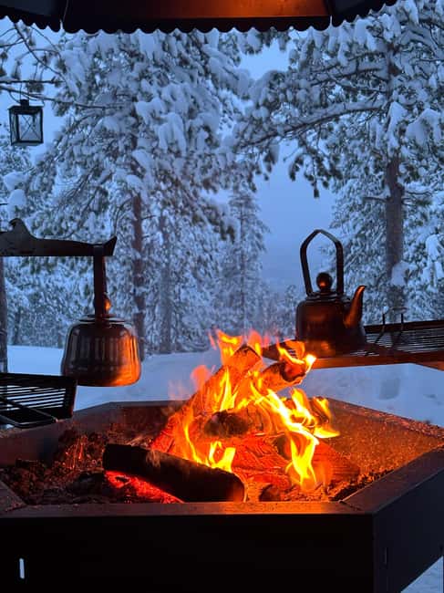 Rovaniemi: Mystical Lapland Forest Entry Ticket - A Winter Trail of Quiet, Soft Light, and Space to Breathe