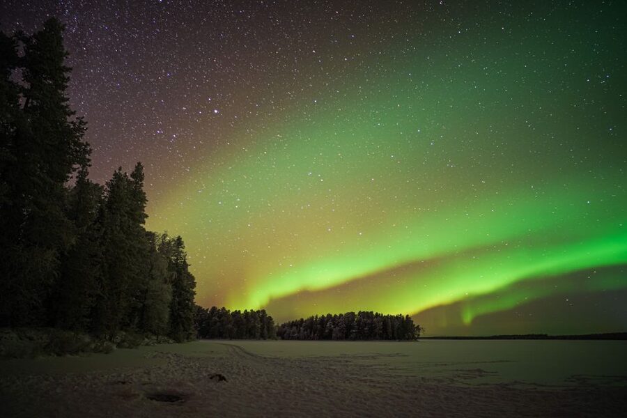 Rovaniemi: Night Sky lappish Barbecue - Key things to know before you go