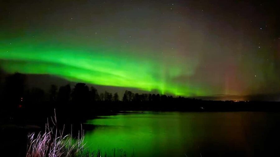 Rovaniemi: Night Tour in Search of the Aurora with BBQ - Quick hits before you go