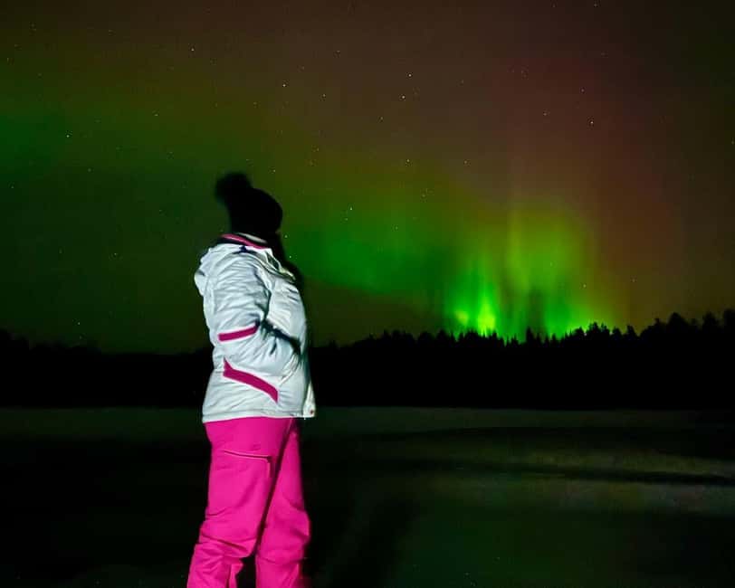 Rovaniemi: Night Tour in Search of the Aurora with BBQ - Aurora hunting with real odds, not wishful thinking