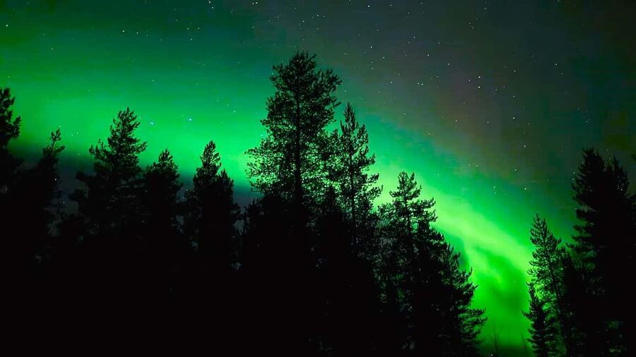 Rovaniemi: Night Tour in Search of the Aurora with BBQ - Cold weather reality check: what to bring and why it matters