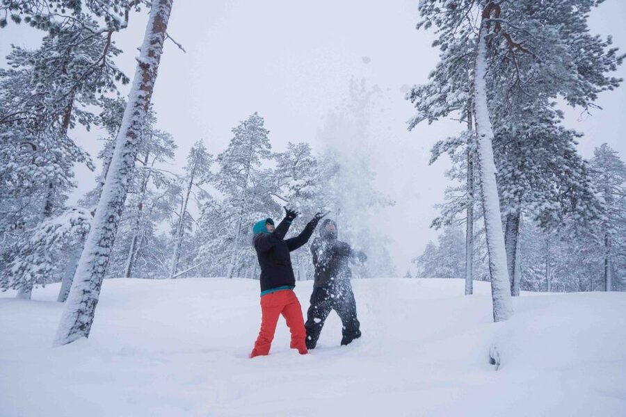 Rovaniemi: Nordic Forest Wilderness Adventure - Why This Half-Day Hike Feels Like Real Lapland Wilderness