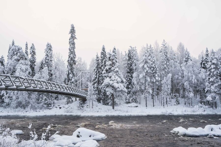 Rovaniemi: Nordic Forest Wilderness Adventure - FAQ