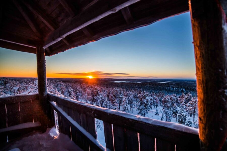 Rovaniemi: Nordic Forest Wilderness Adventure - Getting There in Comfort, Staying in a Small Group