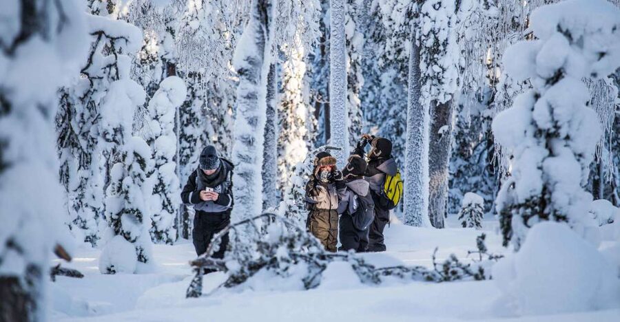 Rovaniemi: Nordic Forest Wilderness Adventure - Photo-Guide Service and Your Edited Photo Collection