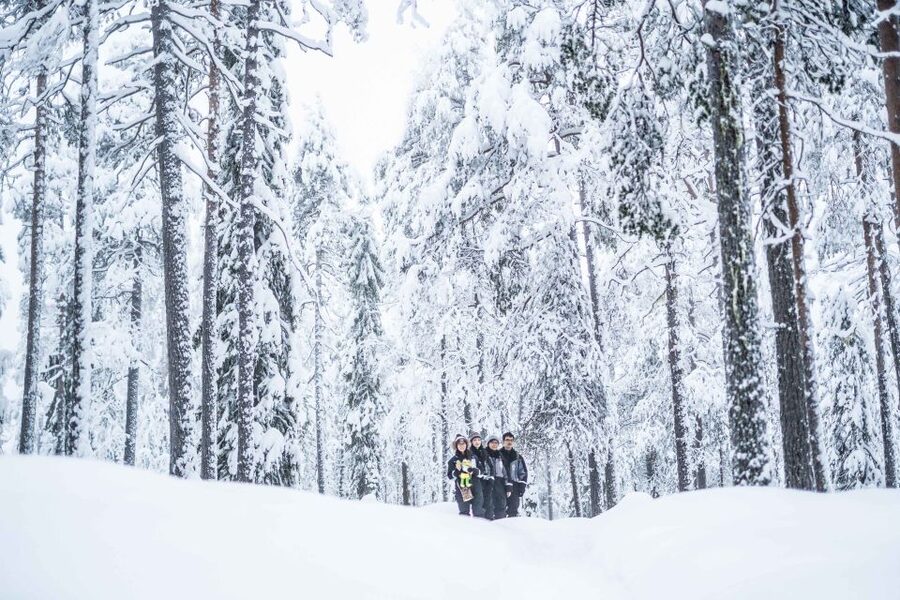 Rovaniemi: Nordic Forest Wilderness Adventure - What’s Included for Cold Weather, and What You Should Bring