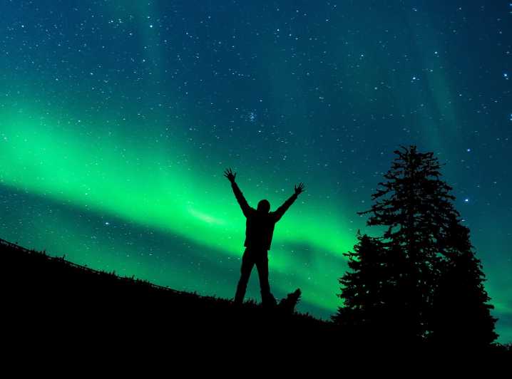 Rovaniemi: Northern Light Hunt Tour with ProCamera - Heated comfort for long nights, plus a small group size