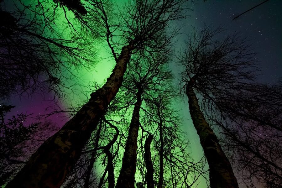 Rovaniemi: Northern Light Hunt Tour with ProCamera - Who this tour suits best, and who should think twice