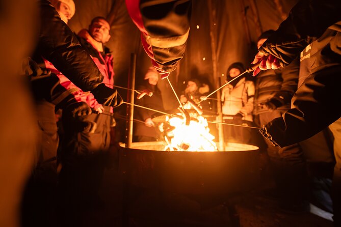 Rovaniemi Northern Light Hunt with Campfire and BBQ with Transfer - Warm Overalls, Cold Waits, and Why Group Size Matters