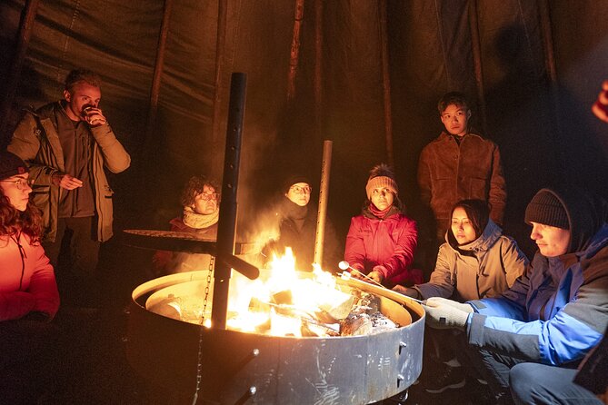 Rovaniemi Northern Light Hunt with Campfire and BBQ with Transfer - Food Notes for Dietary Needs (Vegetarian, Soup, and What to Communicate)