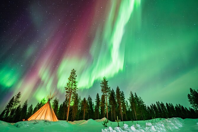 Rovaniemi Northern Light Hunt with Campfire and BBQ with Transfer - Meeting at Maakuntakatu 29: Pickup, Start Windows, and Timing Reality