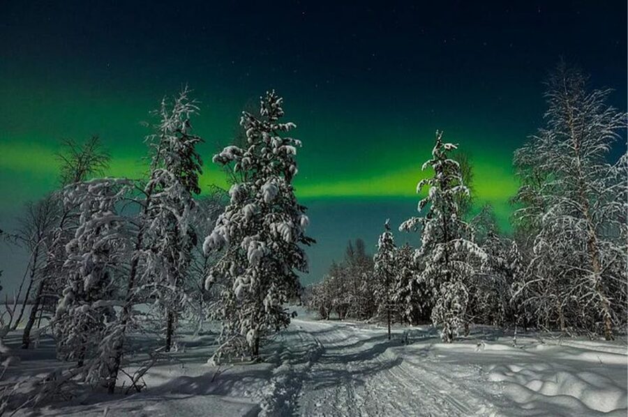 Rovaniemi: Northern Lights and Husky Sleigh Ride - Quick hits to know before you go