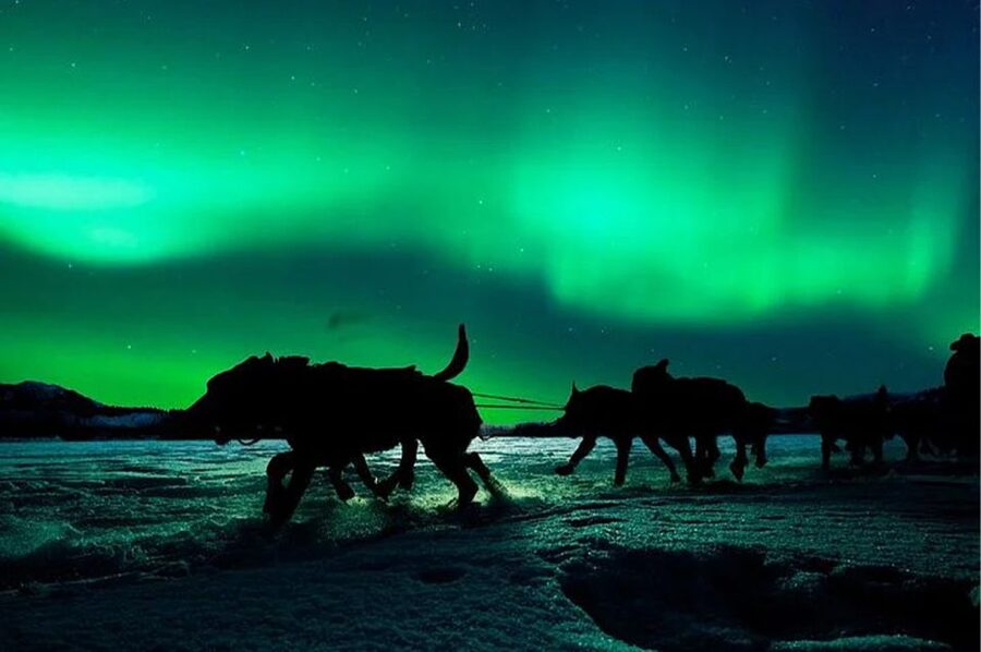 Rovaniemi: Northern Lights and Husky Sleigh Ride - Practical tips to make your odds better, and your night easier