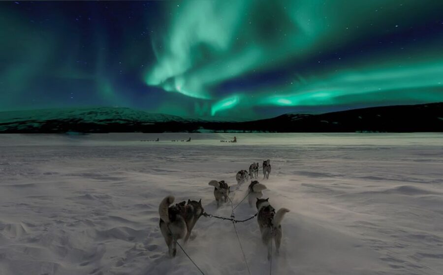 Rovaniemi: Northern Lights and Husky Sleigh Ride - What you’re really doing in 3.5 hours, huskies first, aurora hunt second