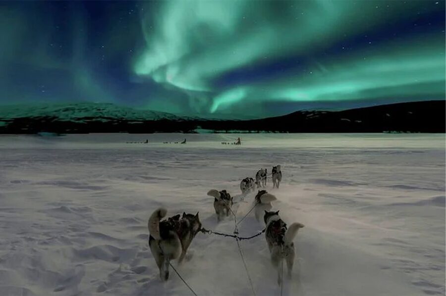 Rovaniemi: Northern Lights and Husky Sleigh Ride - Winter gear and the first minutes outside: your comfort plan