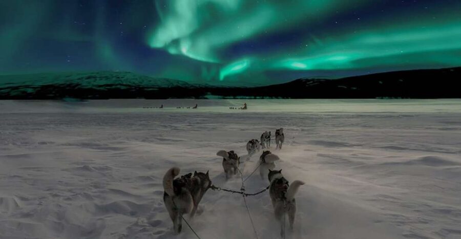 Rovaniemi: Northern Lights and Husky Sleigh Ride - Northern Lights searching by car: the odds, the strategy, and how to enjoy the wait