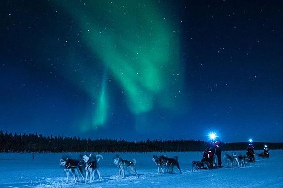 Rovaniemi: Northern Lights and Husky Sleigh Ride - Who this tour suits best, and who should look elsewhere