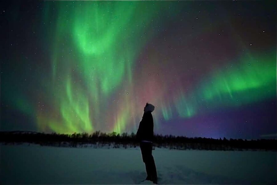 Rovaniemi: Northern Lights Aurora Guarantee Tour - The group size, guide role, and why the planning feels more serious here