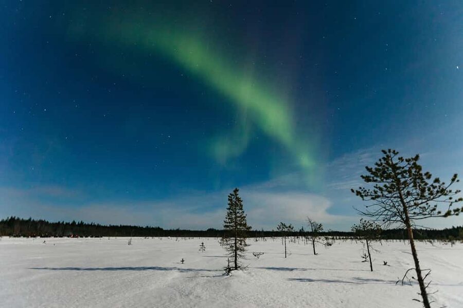 Rovaniemi: Northern Lights Family-Friendly Snowmobile Safari - Key things you should know before you go