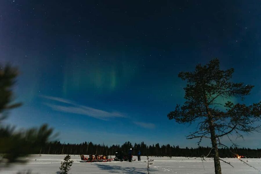 Rovaniemi: Northern Lights Family-Friendly Snowmobile Safari - The warm-drink breaks that make the cold feel manageable