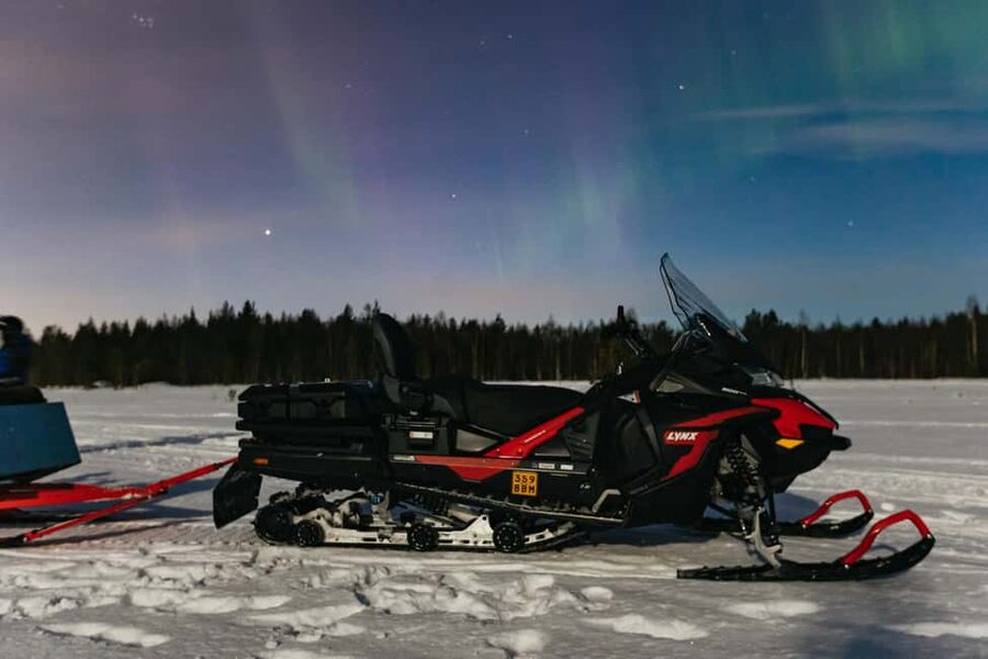 Rovaniemi: Northern Lights Family-Friendly Snowmobile Safari - Practical tips so your night goes smoothly