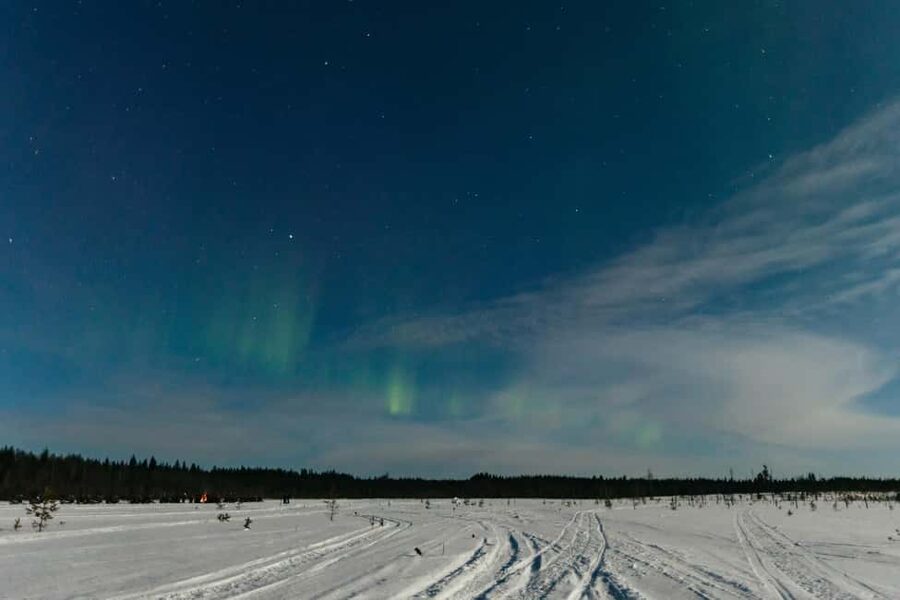 Rovaniemi: Northern Lights Family-Friendly Snowmobile Safari - Who this tour suits best