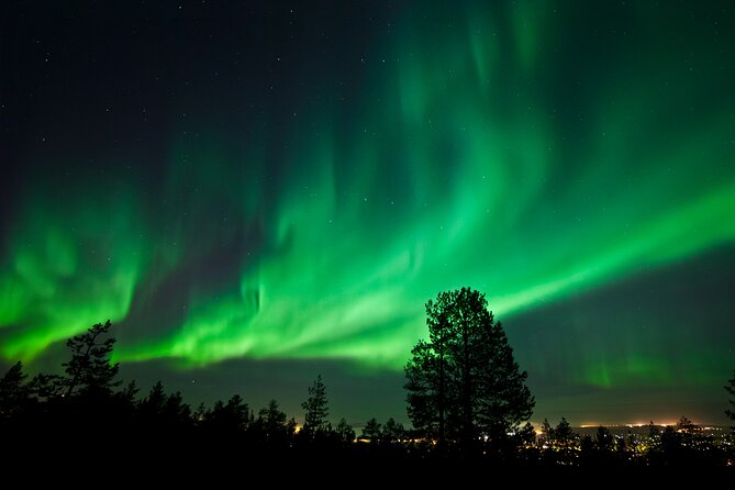 Rovaniemi: Northern Lights Group Tour - Guaranteed View - Group size reality: minivan intimacy vs a full heated bus