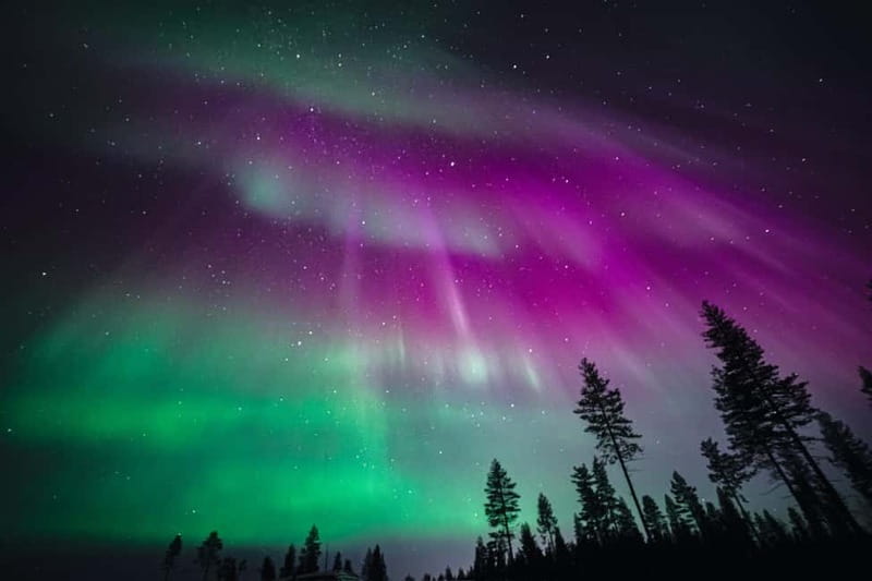 Rovaniemi: Northern Lights Group Tour with Guaranteed View - Why a guaranteed aurora hunt matters in Rovaniemi