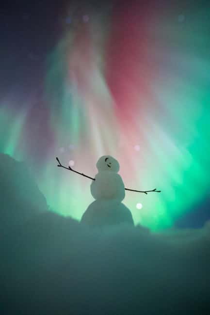 Rovaniemi: Northern Lights Group Tour with Guaranteed View - The hunt plan: real-time routing and why they drive