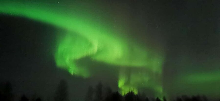 Rovaniemi:Northern Lights Hunt in Lapland Wilderness - How your guide finds the best conditions for the sky