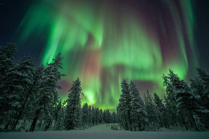 Rovaniemi Northern Lights Hunt With A Professional Photographer - What the Small Group Means for Your Photos