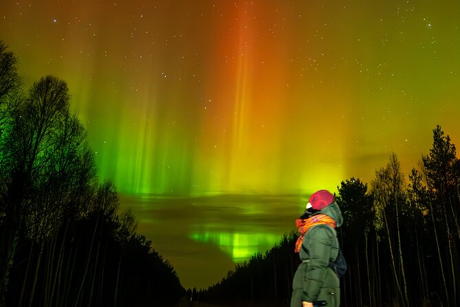 Rovaniemi: Northern Lights Hunting and Photography Tour - Key highlights at a glance