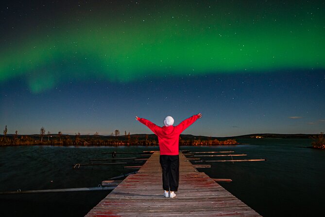 Rovaniemi: Northern Lights Hunting and Photography Tour - Value and pricing, what you really get for about $144.57