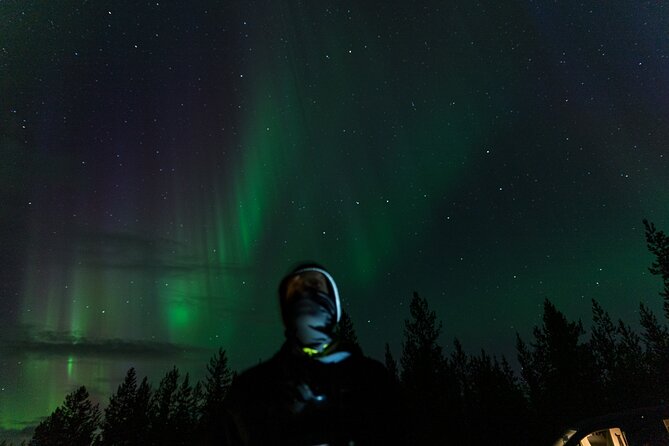Rovaniemi: Northern lights money back tour - How the comfortable vehicle and small group work for you